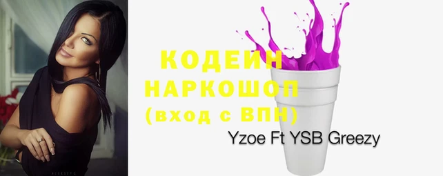 мдпв Заводоуковск