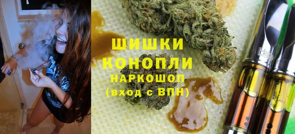 мдпв Заводоуковск