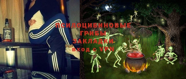 мдпв Заводоуковск