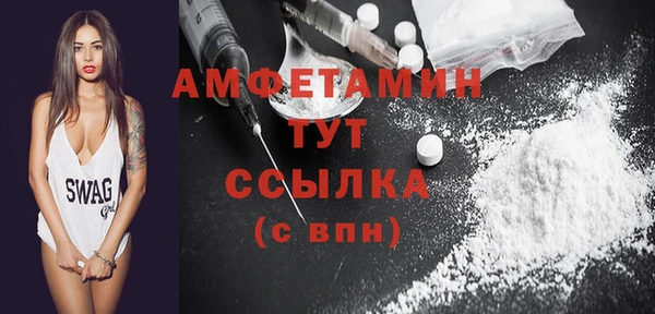 мдпв Заводоуковск