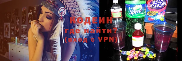 мдпв Заводоуковск