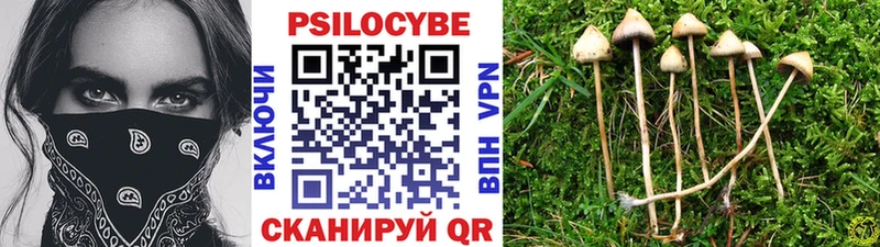 Галлюциногенные грибы прущие грибы  Купить закладки  Южно-Сухокумск 