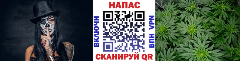 Купить  Южно-Сухокумск  Шишки марихуана OG Kush 